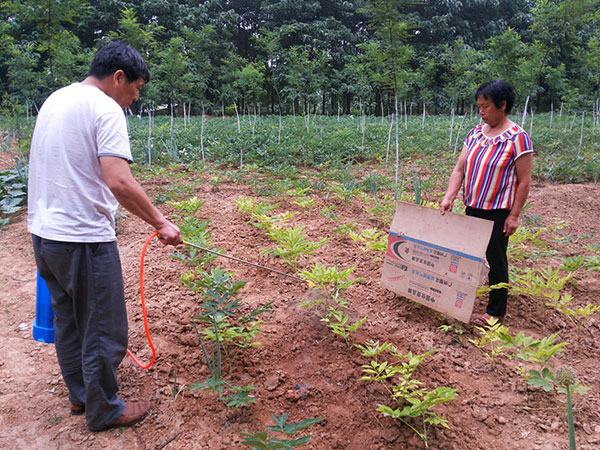 做產(chǎn)品效果對比實驗時注意事項