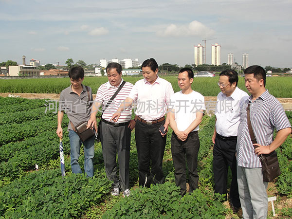 威力泰現(xiàn)場(chǎng)指導(dǎo)篇